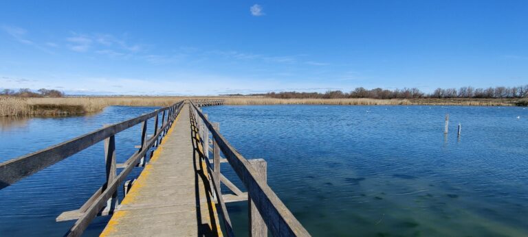 Passerelle sur l’Étang de Candillargues