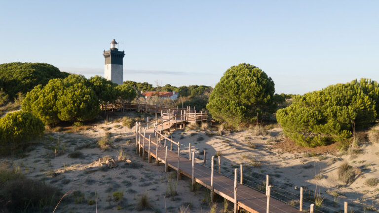 Le Phare de l&rsquo;Espiguette