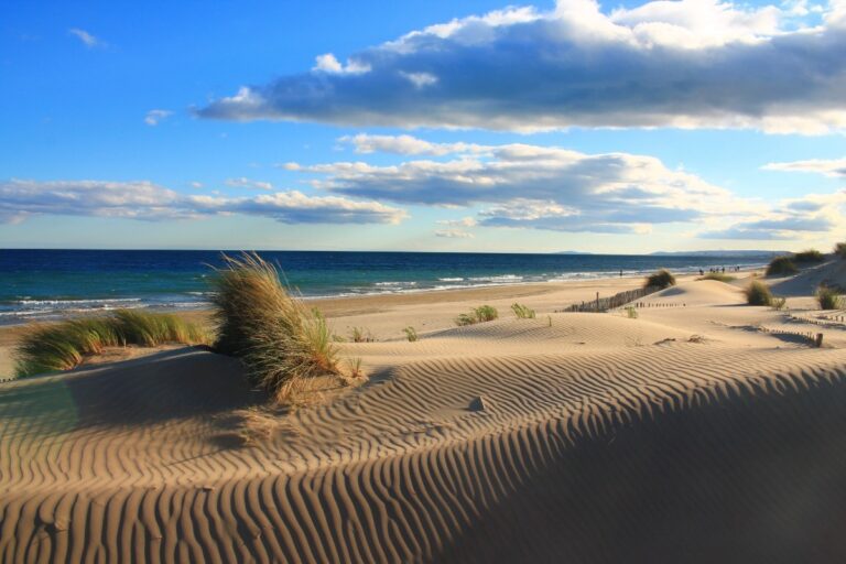 Plage de l&rsquo;Espiguette